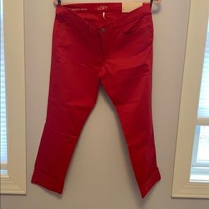 Modern Skinny pants Loft